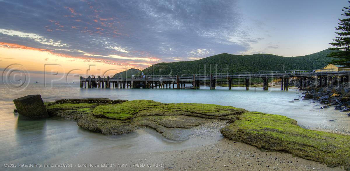 Peter Bellingham Photography Lord Howe Island - NSW T (PB5D 00 4271)